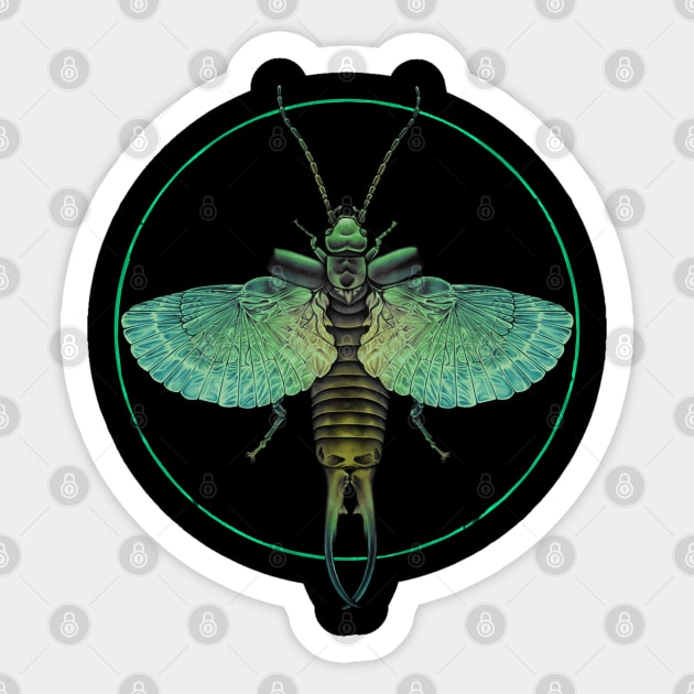 Earwig Sticker by Crude Casey